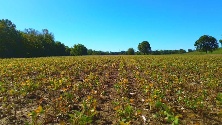 Still 2025-11-17 100017_1.58.11.jpeg